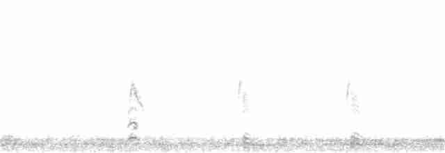 Mavi Kanatlı Ördek - ML157097971