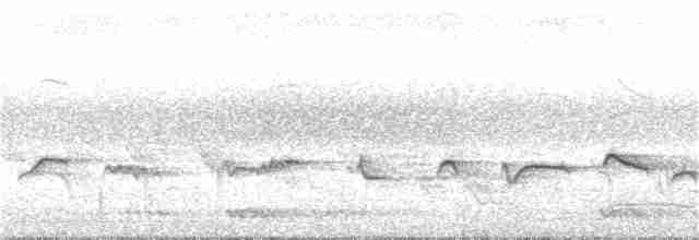 Papamoscas de Los Nilgiri - ML157217751