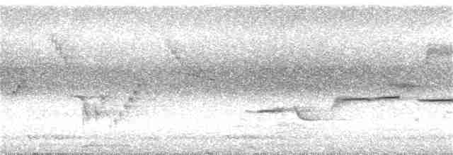 Ak Karınlı Çivit Bülbülü - ML157217781