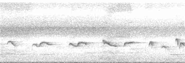 Papamoscas de Los Nilgiri - ML157217791