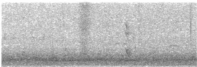 Klappergrasmücke (curruca/blythi/halimodendri) - ML157314361