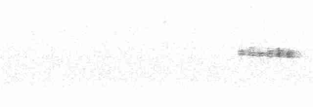 Mirlo Acuático Norteamericano - ML157389201