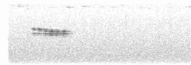 Mirlo Acuático Norteamericano - ML157390491