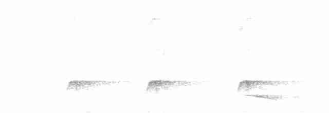 Piaye écureuil (thermophila) - ML157528941