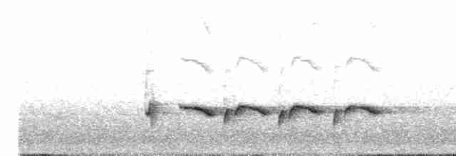 trupiál baltimorský - ML157534741
