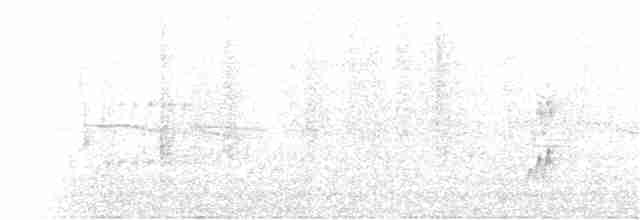 Passerin arc-en-ciel - ML157624361