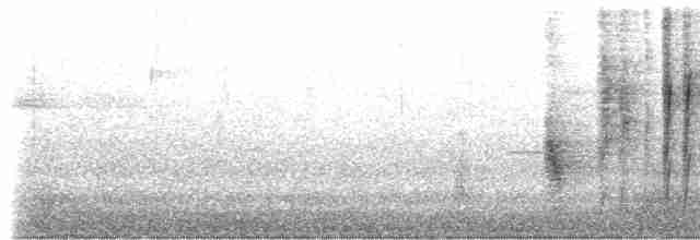 Rufous-naped Wren (Sclater's) - ML157625801