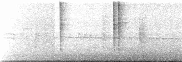 Белоухий колибри - ML157749501