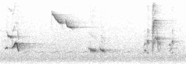 drozdec černohlavý - ML157975951