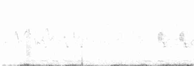 Black-billed Cuckoo - ML158027021