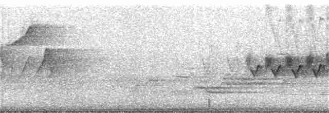 Cerulean Warbler - ML158075331