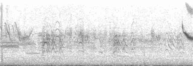 Black Tern (American) - ML158086921