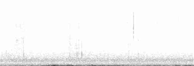 Prairie Warbler - ML158143571
