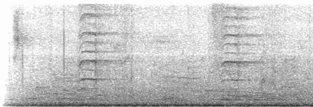 Arctic Warbler - ML158185141