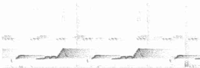 Schwarzkehl-Nachtschwalbe - ML158252301