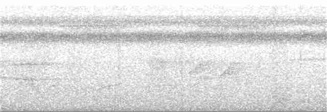 Antriade roussâtre - ML158291991