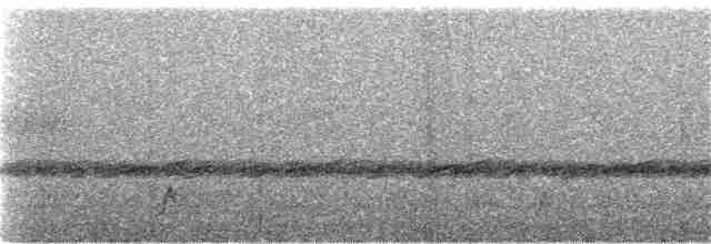 Schwarzkehl-Nachtschwalbe - ML158332561