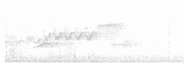 Cerulean Warbler - ML158357311