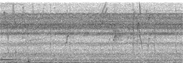 rorýs krátkoocasý - ML158373721
