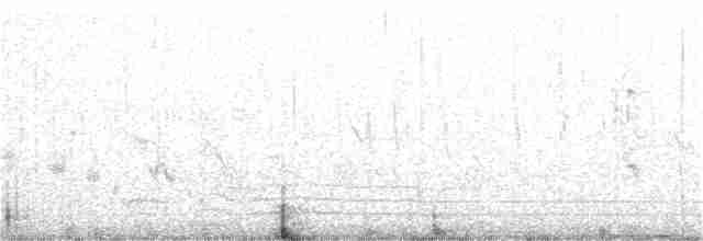 Eastern Orphean Warbler - ML158447631
