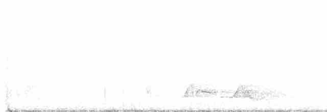 Carolinanachtschwalbe - ML158470251