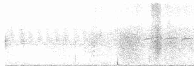 Common Yellowthroat - ML158483701