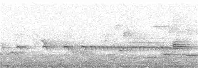 Chaparralgrasmücke - ML158517301