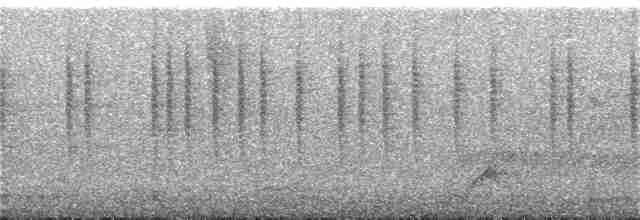 Цинантус синьогорлий - ML158631001