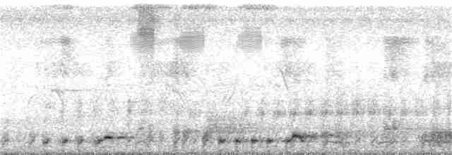 白腹秧雞 - ML158675251