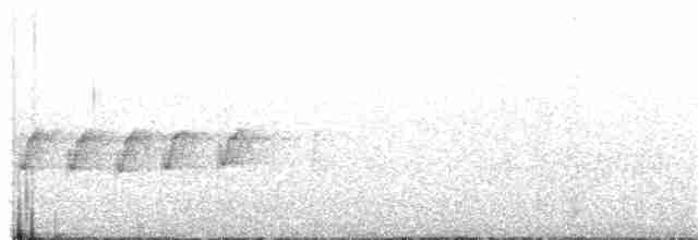 Black-eared Shrike-Babbler - ML158846251