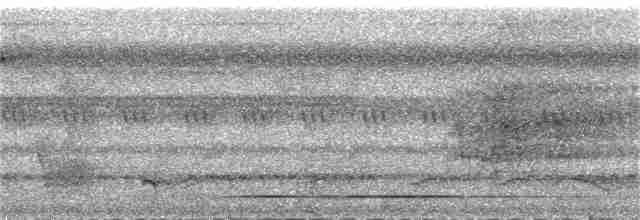 White-throated Tinamou - ML158862441