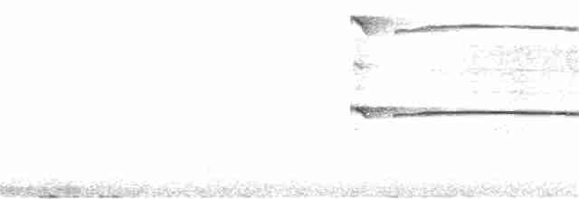 Ширококрылый канюк - ML158872981