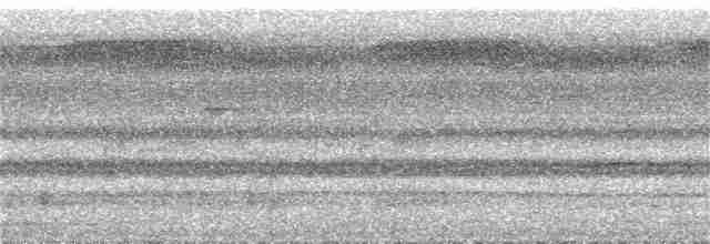 Gray-legged Tinamou - ML158891601