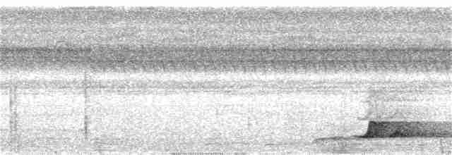 Black-capped Tinamou - ML158979801
