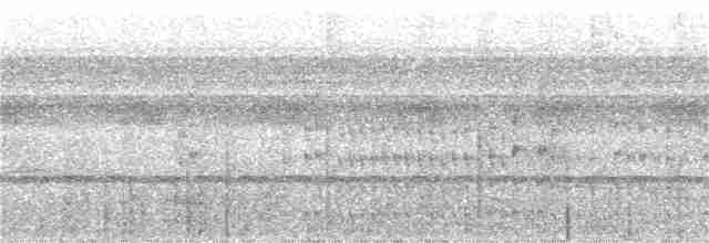 Тікотіко смугастобокий - ML159001261