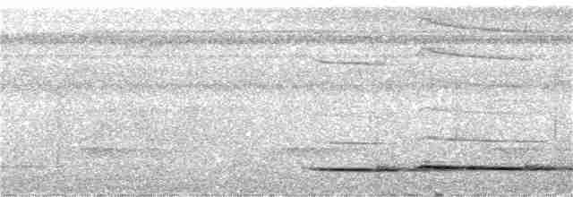 Мурашниця прудка - ML159001271