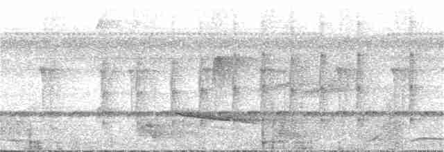 Длиннохохлая чубатка - ML159004701