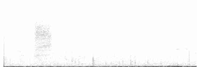 Weißbrauenschnäpper - ML159045681