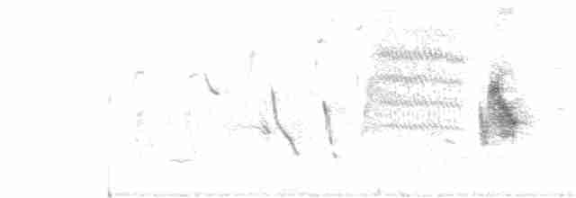 Papağan Gagalı Tohumcul - ML159049151