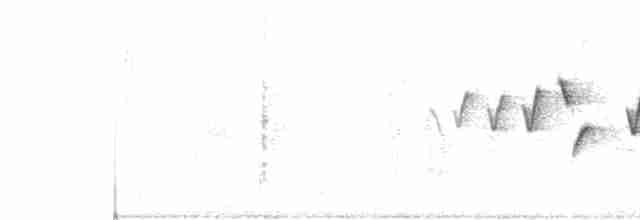 brunhakefrøeter - ML159049261