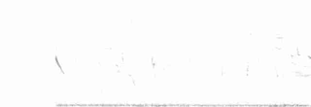 Weißschenkelstärling - ML159049361