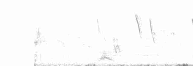 holoubek skřehotavý - ML159049541