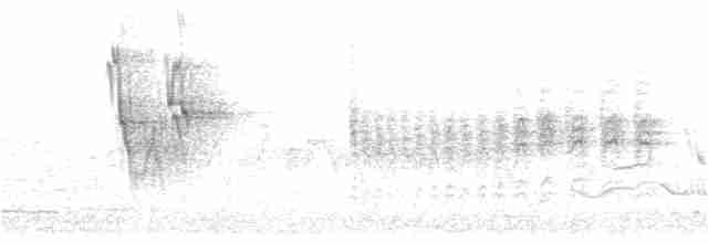 White Wagtail - ML159066651
