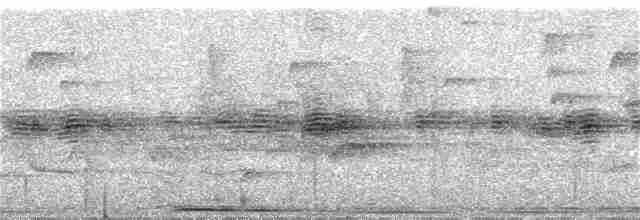 holub okrový - ML159124201
