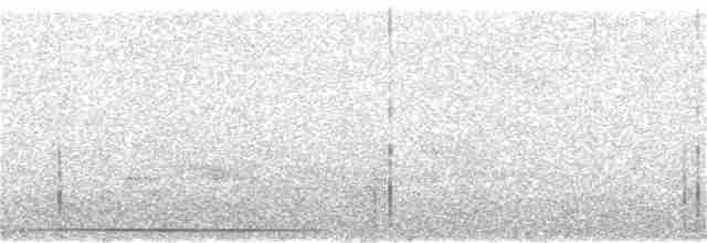 Серогрудая голубка (cerviniventris) - ML159154181