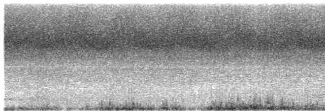 灰頭椋鳥 - ML159271731