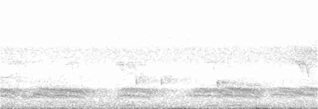 Nilgiri Tahtalısı - ML159275241