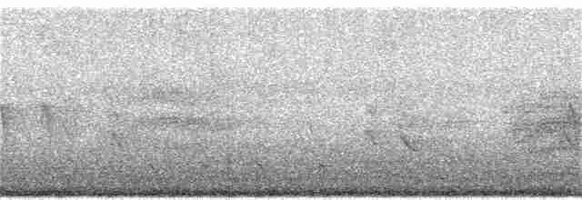 "Шишкар ялиновий (Western Hemlock, або тип 3)" - ML159294701