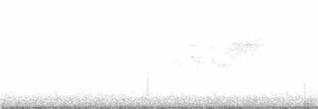 Cerulean Warbler - ML159305891