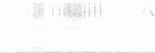 lesňáček černobílý - ML159345281